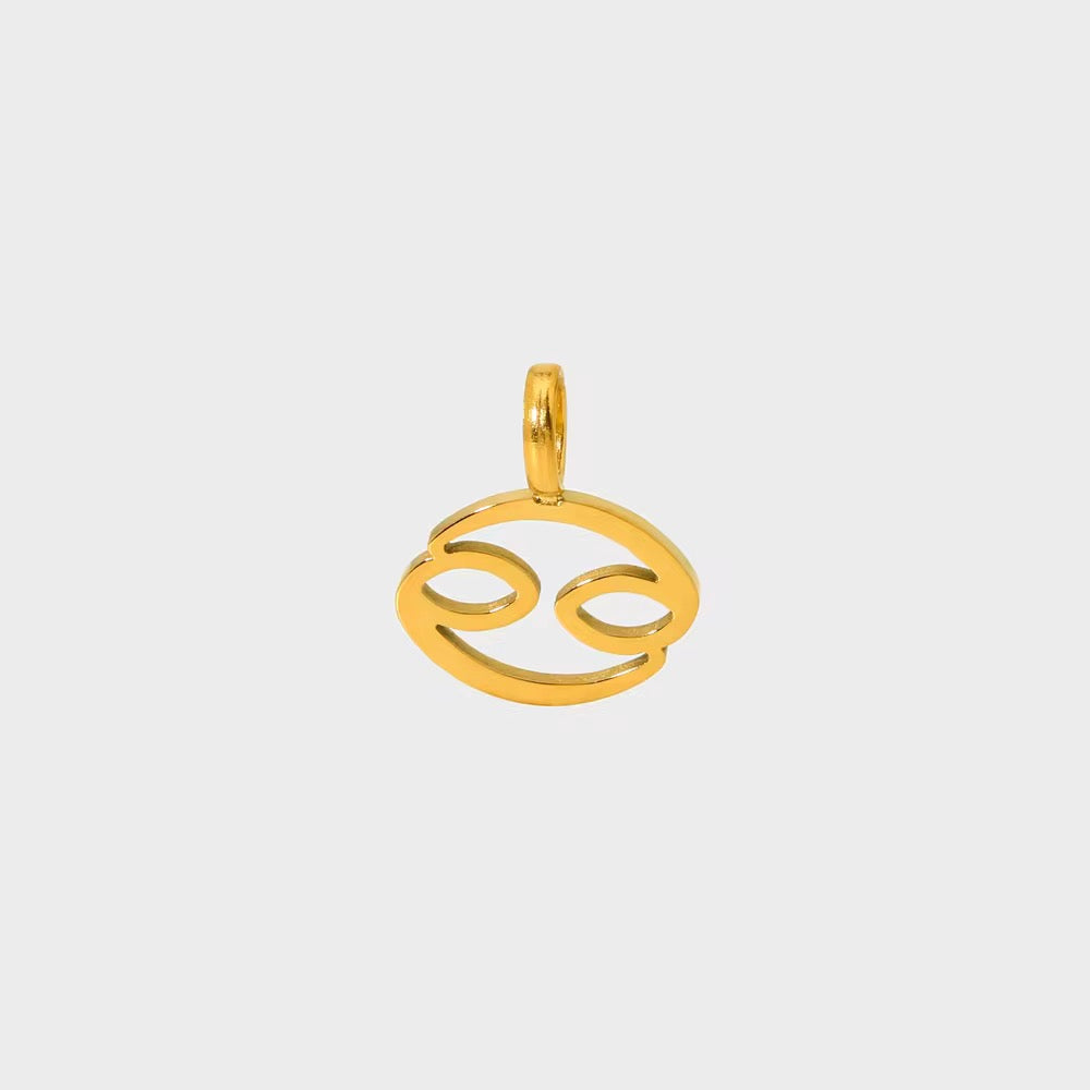 Everyday Zodiac Charm