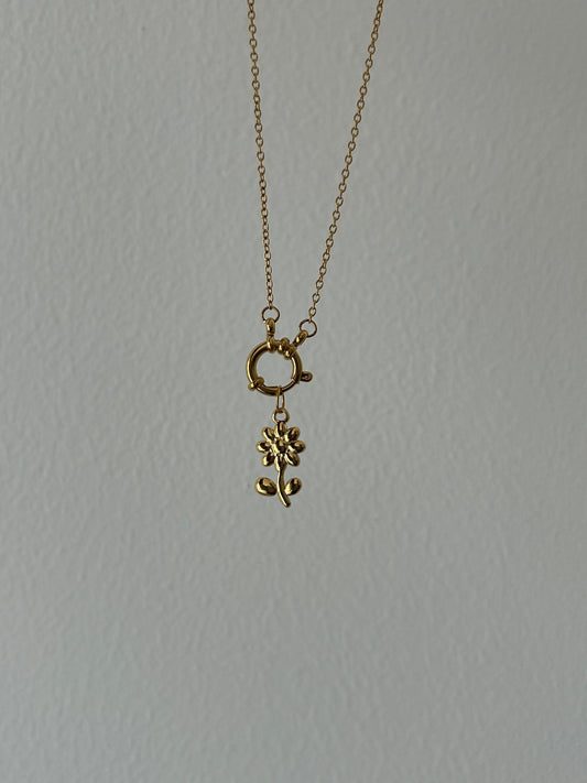 Gold Daisy