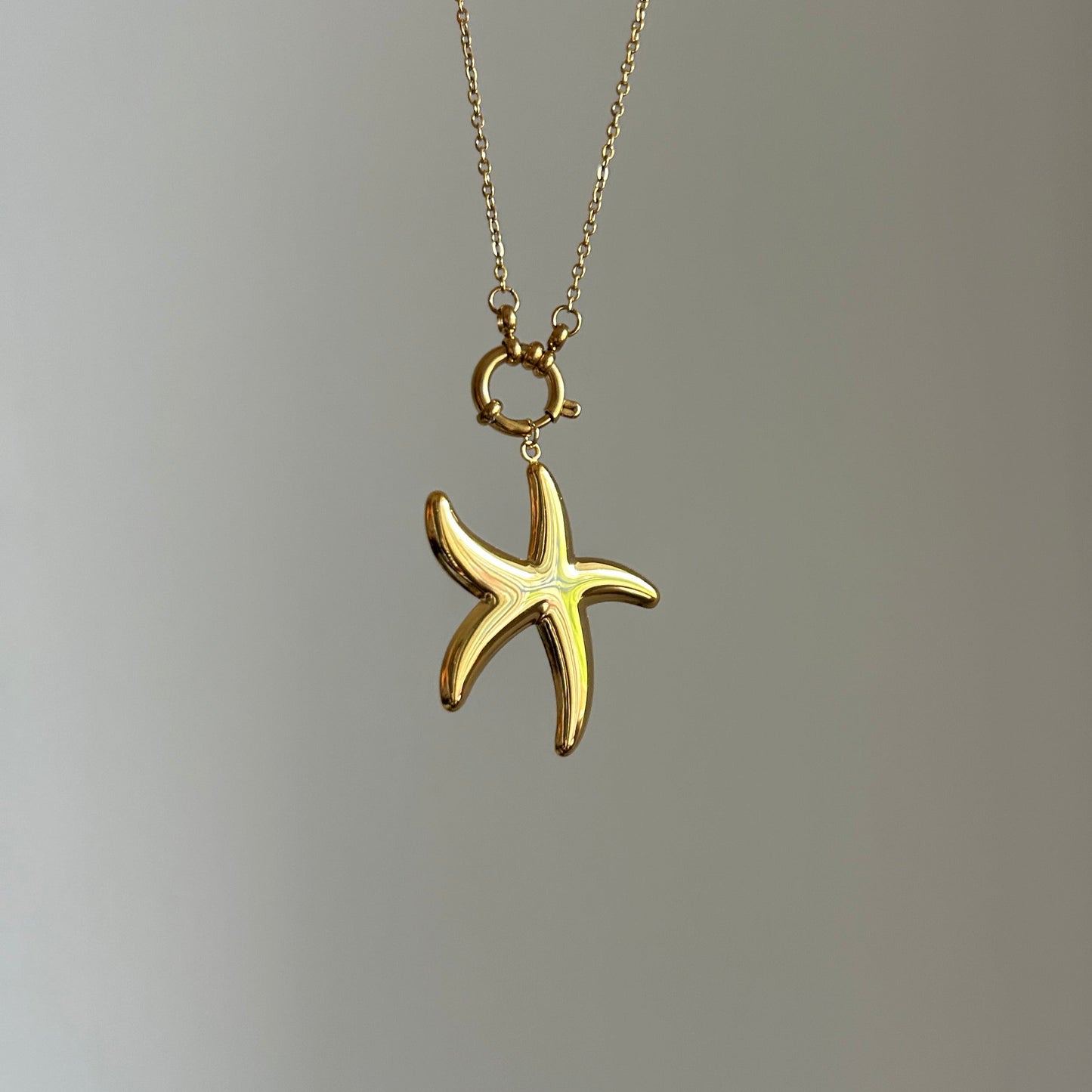 Big Starfish Charm