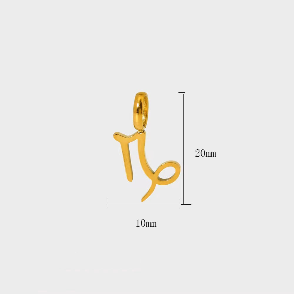 Everyday Zodiac Charm