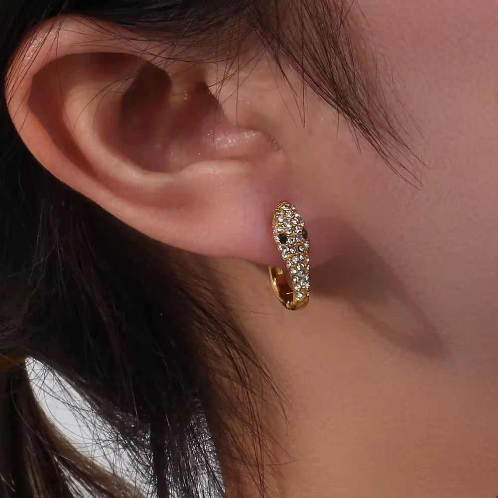 Studded Rep Earrings
