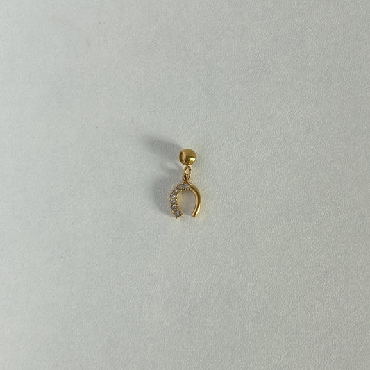 Horseshoe Needle Charm