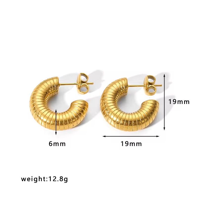 Coil Earrings