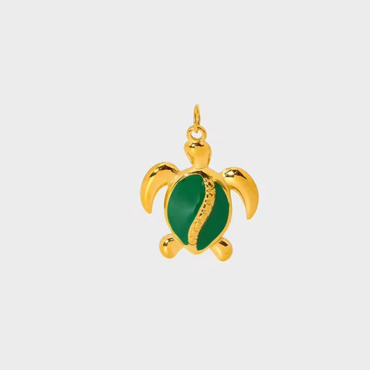 Big Turtle Charm