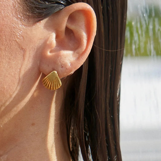 Seashell Studs
