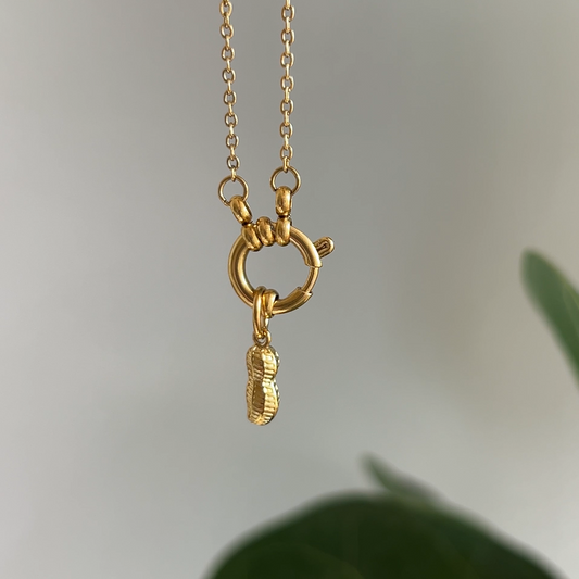 Prosperity Charm