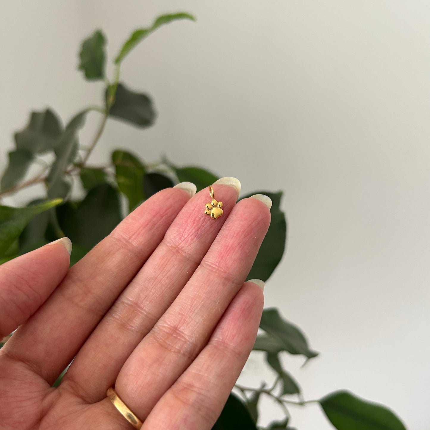Tiny Paw Charm