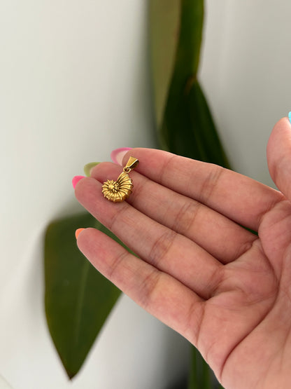 Ammonite Charms