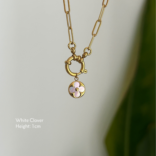 White and Gold Clover