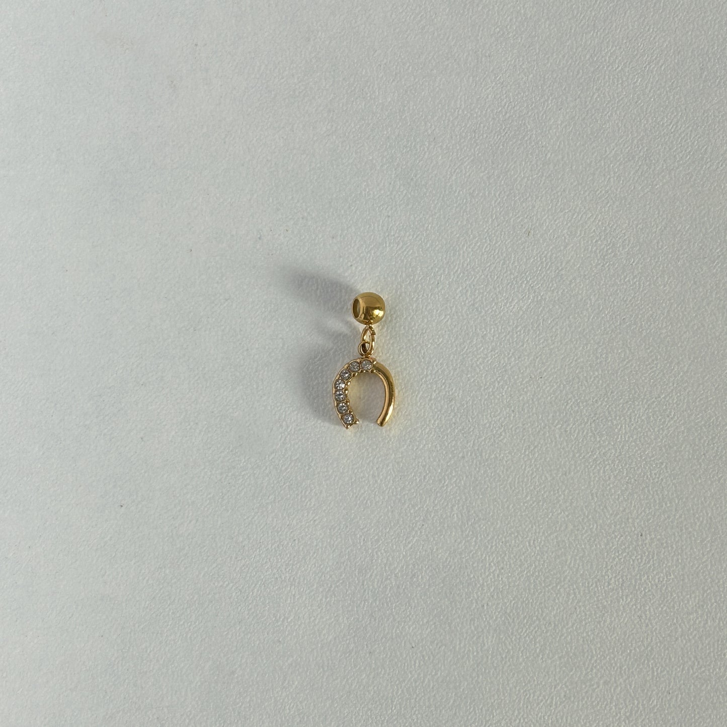 Horseshoe Needle Charm