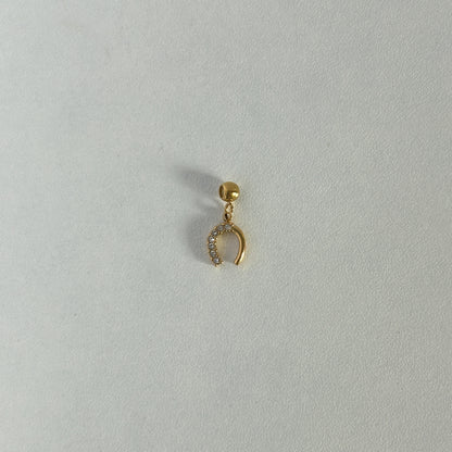 Horseshoe Needle Charm
