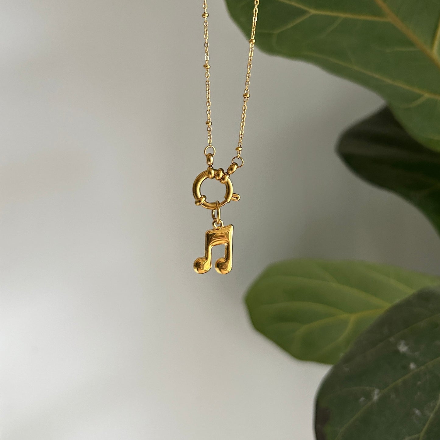 Music Charm