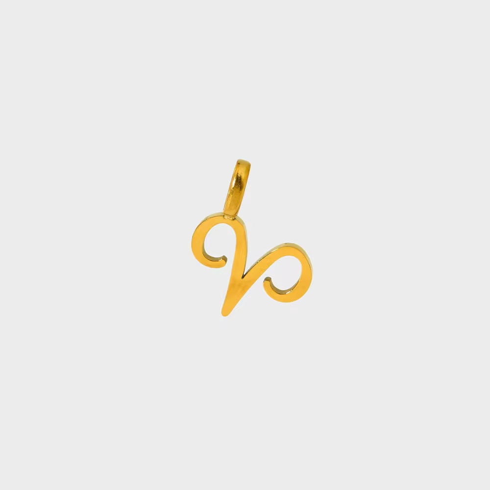 Everyday Zodiac Charm