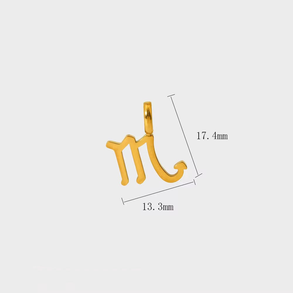 Everyday Zodiac Charm