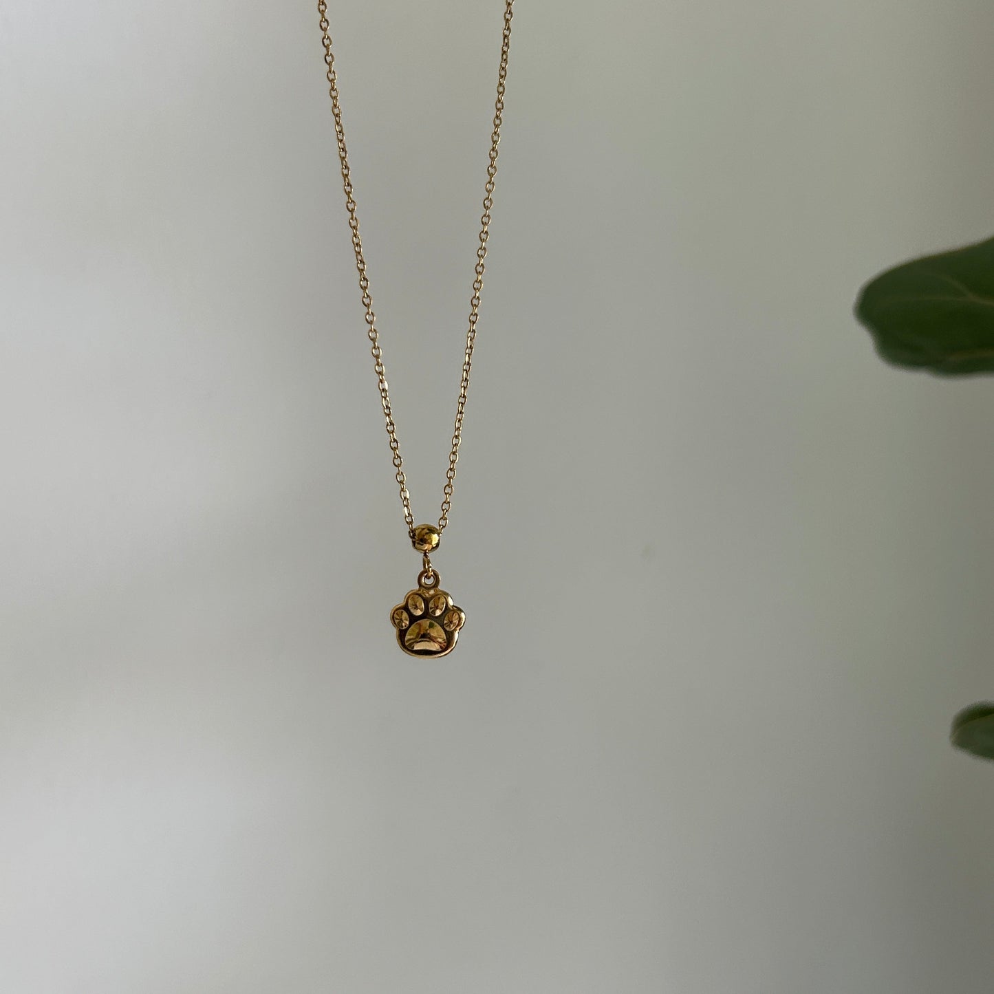 Needle Paw Charm