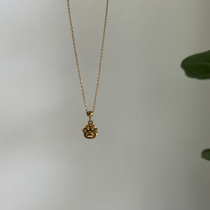 Needle Paw Charm