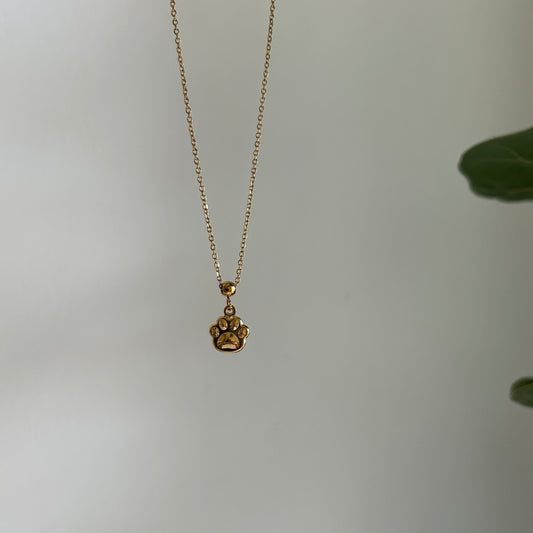 Needle Paw Charm