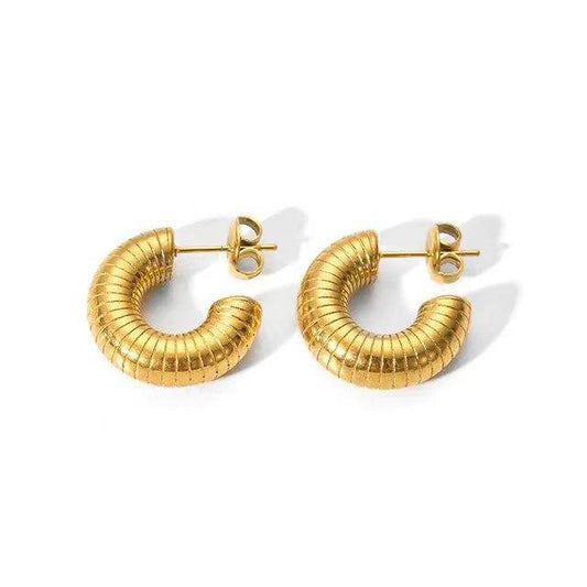 Coil Earrings
