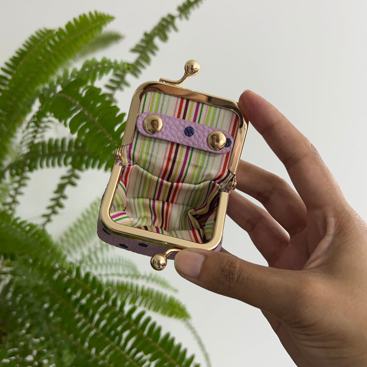 A hand holding an open small coin purse with a gold-tone metal frame and a striped fabric lining in green, red, yellow, and white, set against a background of a green fern and a white wall.